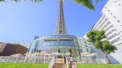 🗼 요코하마 마린타워